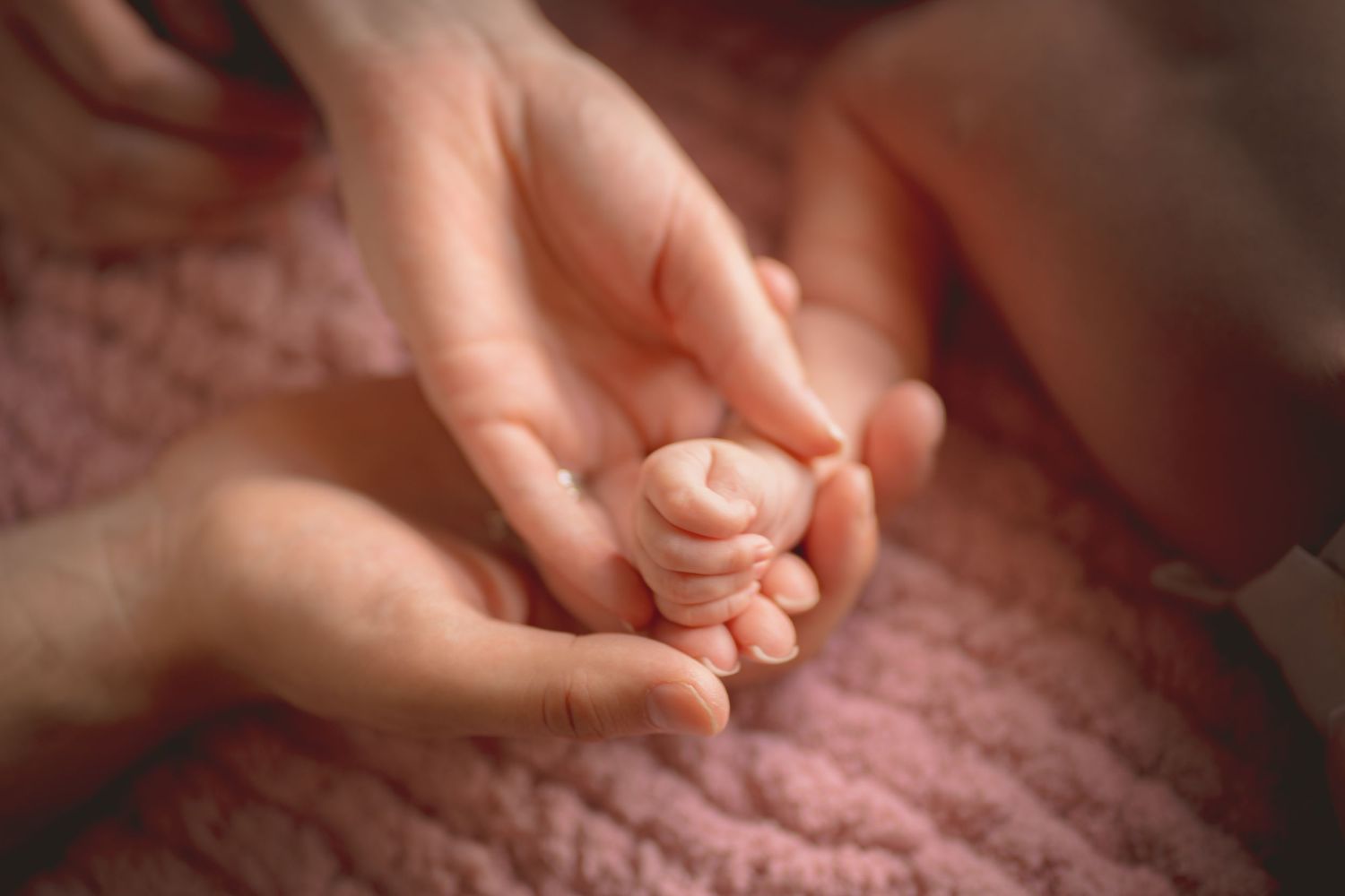 Close-up shot of hands gently holding and examining a delicate white butterfly resting on fingertips.