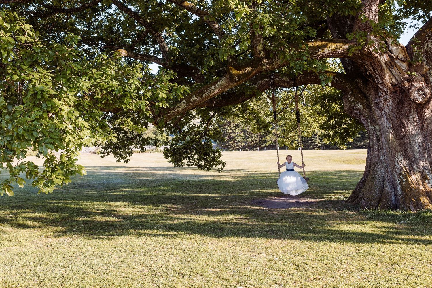 The Inn on the Lake tree swing wedding photo
