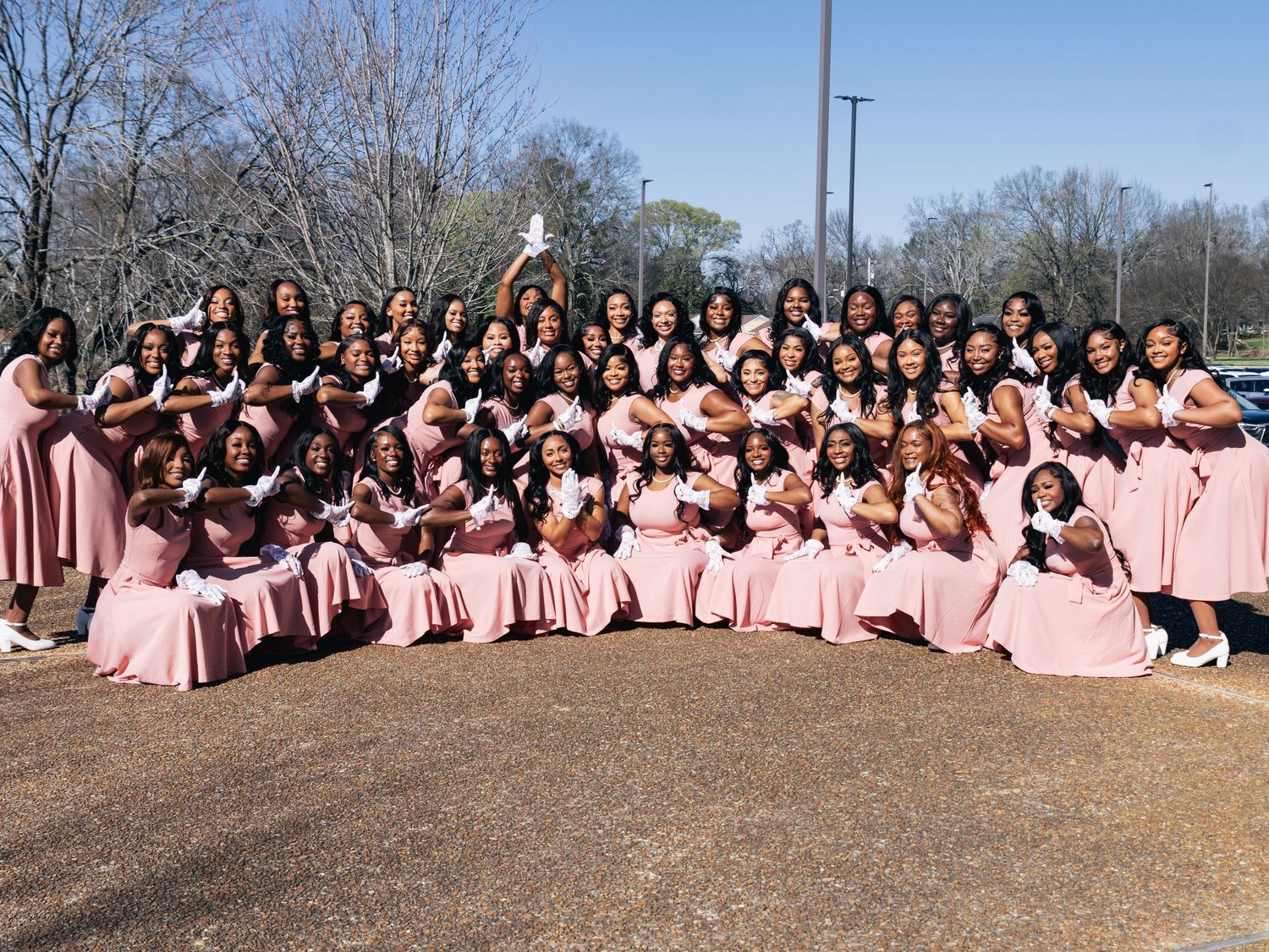 Large group photo of people wearing pink dresses posed together outdoors on a sunny day.