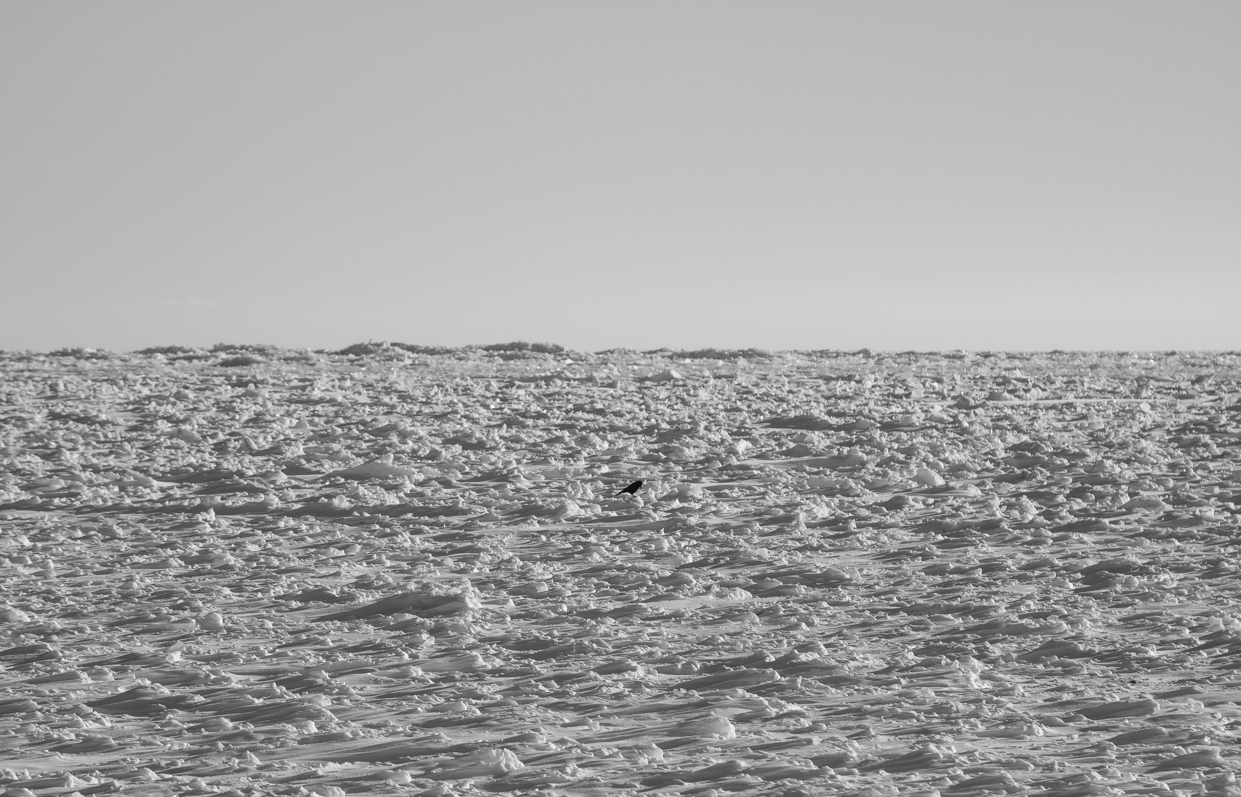 Black and white photographs showing a series of ships sailing across rough ocean waters in a horizontal sequence.