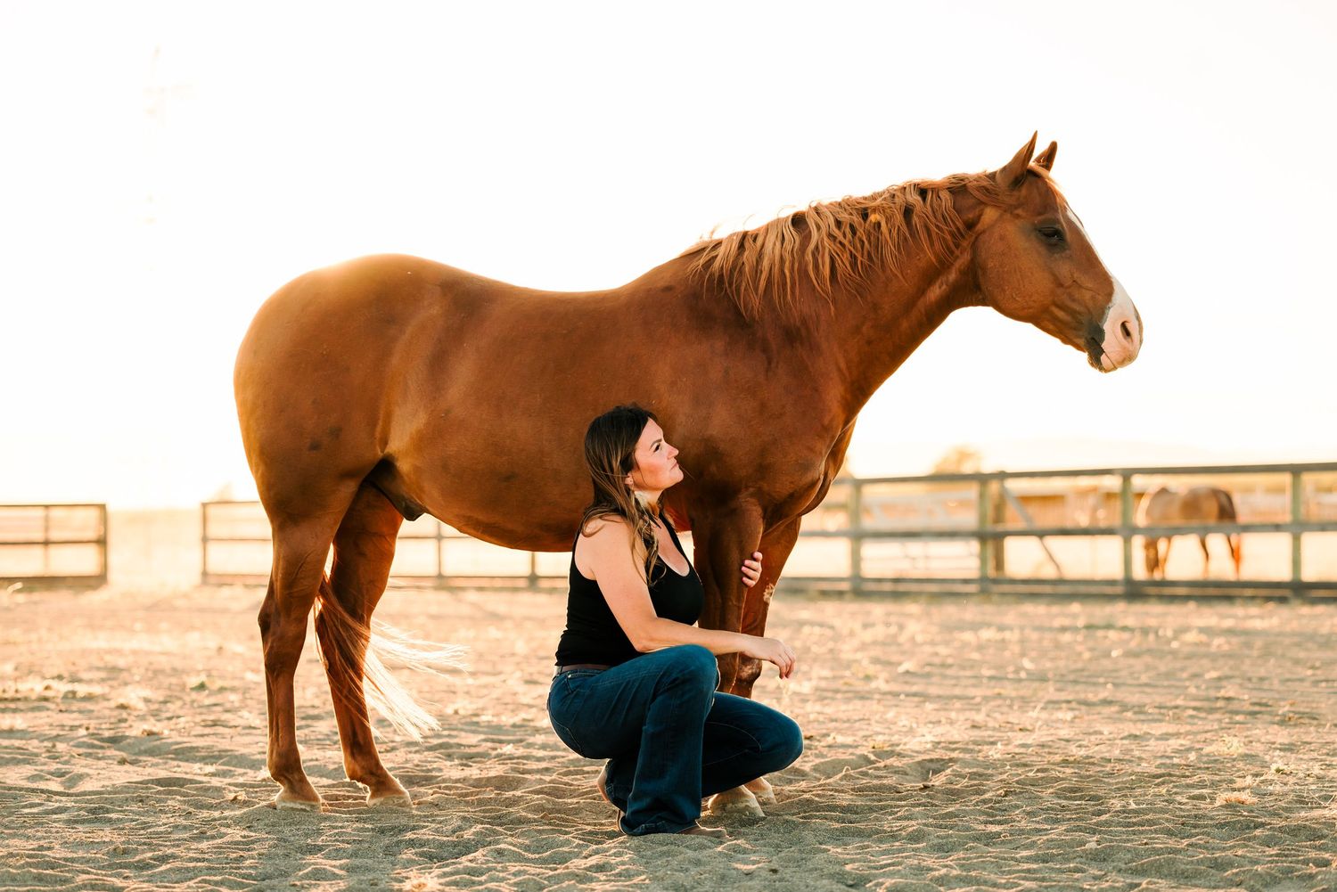 Woman sharing an intimate moment with her horse during golden hour captured by Northern California Horse Photographer Lauren Ann Photography