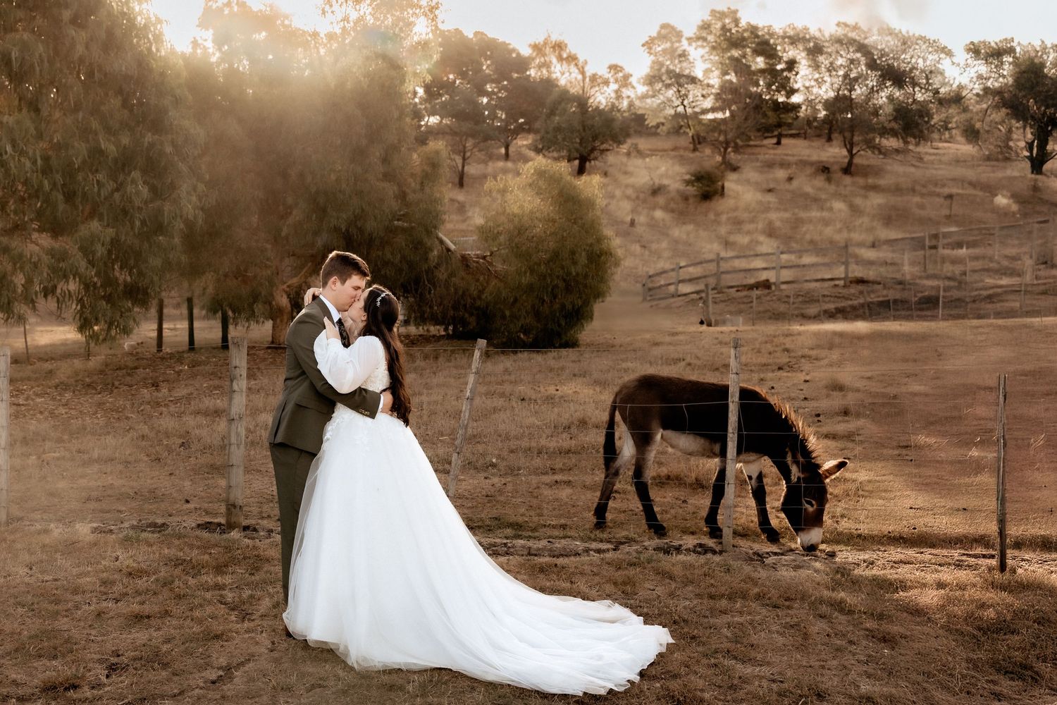 A collection of romantic wedding photos taken at sunset featuring a couple with horses in a rustic outdoor setting.