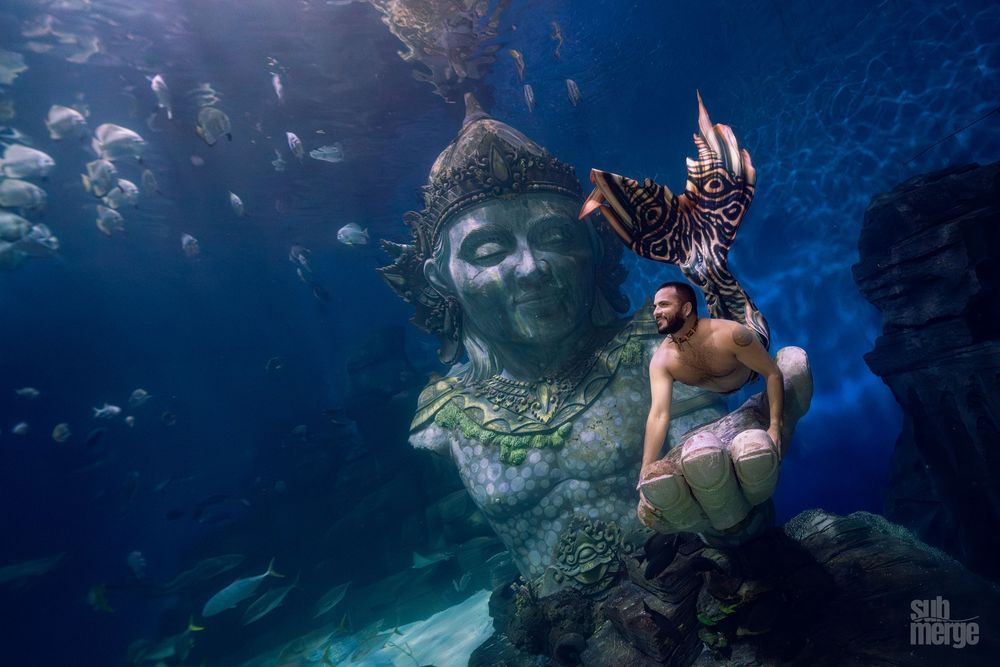 Underwater scene showing scuba divers exploring a vibrant reef surrounded by schools of tropical fish in deep blue water.