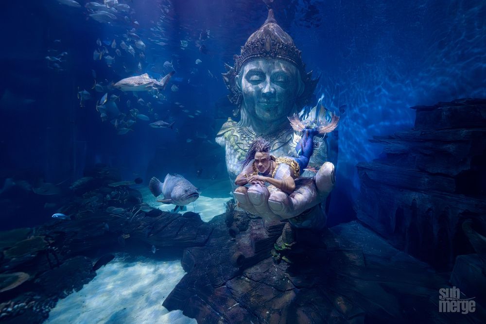 Underwater scuba divers explore a vibrant coral reef with tropical fish swimming in crystal clear blue waters.