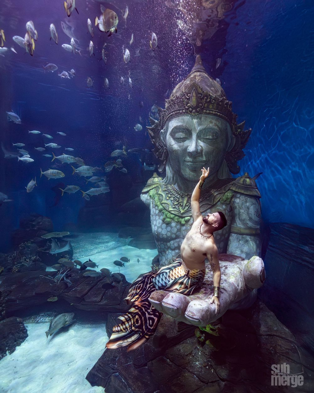 A series of underwater photos showing a figure in white clothing posing near a large stone Buddha statue among swimming fish.