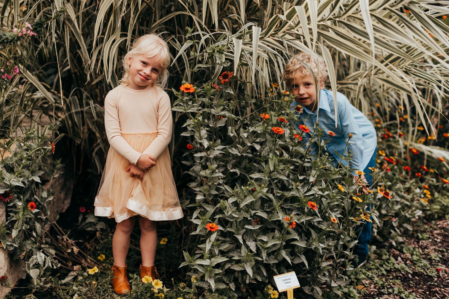 kids hiding in grass