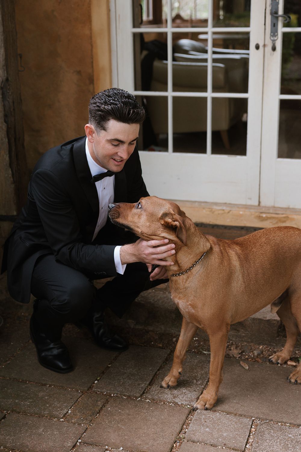 Person in dark suit kneels down to pet and show affection to a brown dog outside glass doors.