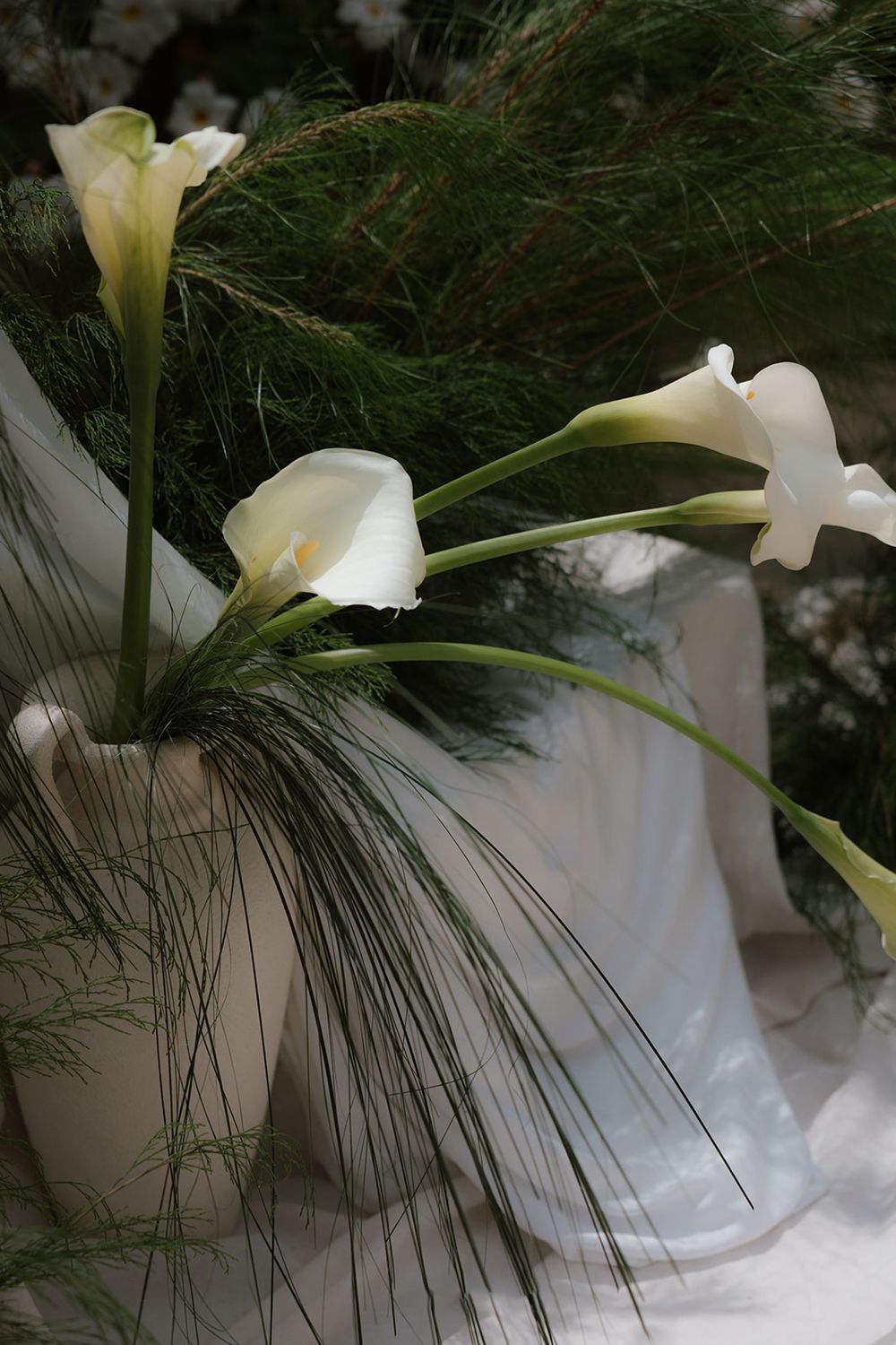 Elegant white calla lilies with long stems arranged with wispy green foliage against a light background.