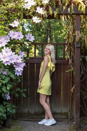 Purple clematis flowers bloom on a garden fence while a figure in yellow stands nearby in multiple poses.
