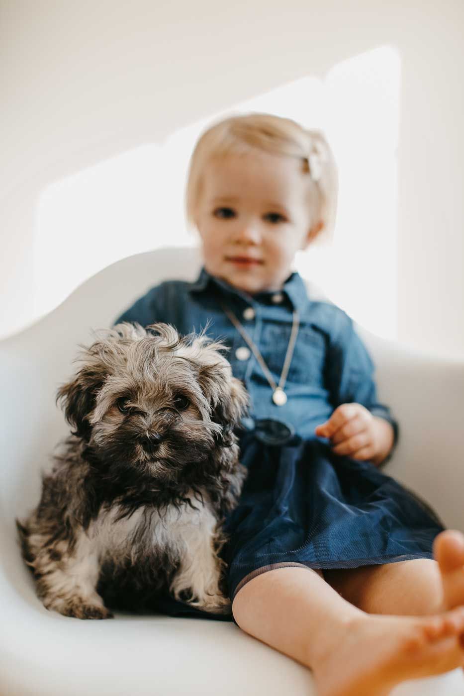 A small shaggy grey terrier mix puppy sits next to someone wearing a blue dress on a white sofa.