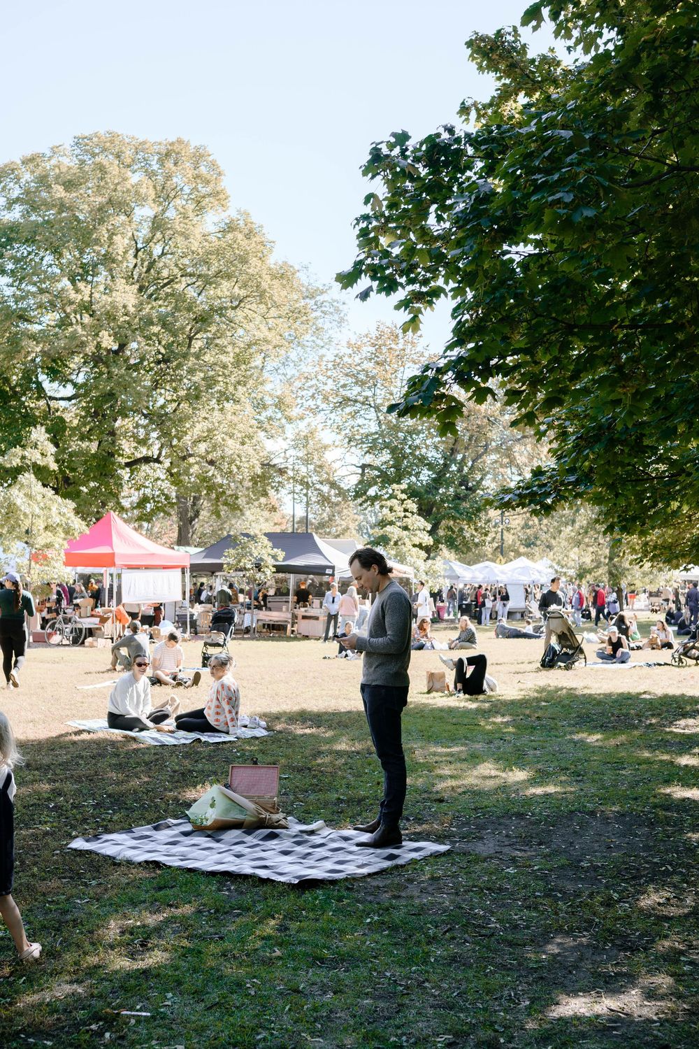 A scenic outdoor park setting with people gathered on blankets under shady trees on a sunny day.