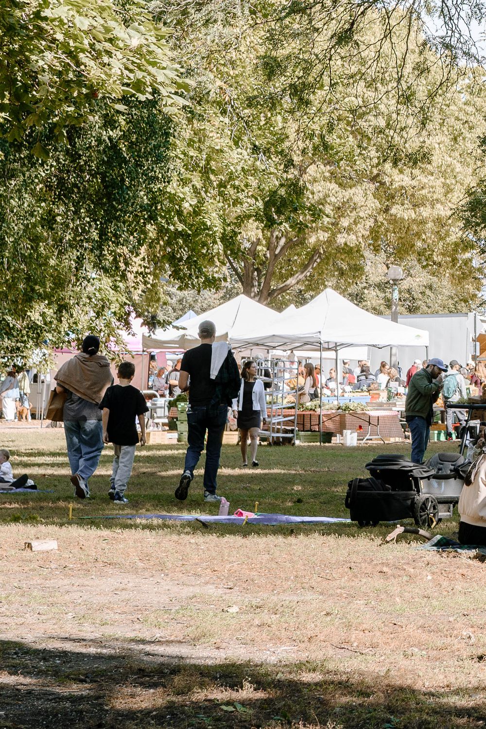 People gather at an outdoor market or fair with vendor tents and displays set up under shady trees on a sunny day.