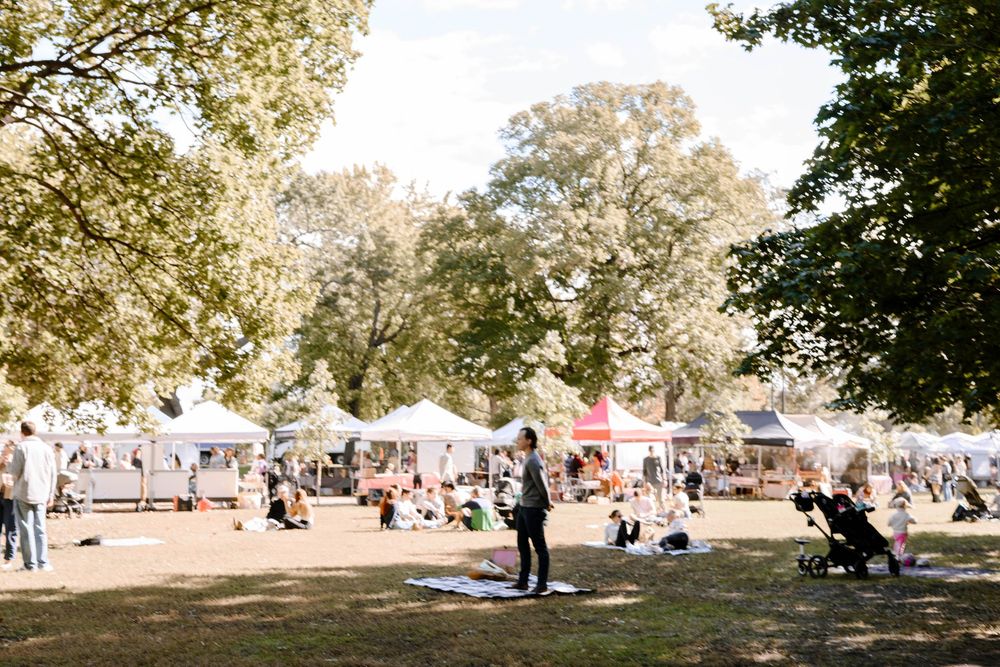 A panoramic view of people enjoying a sunny day at a park with scattered trees and open green spaces.