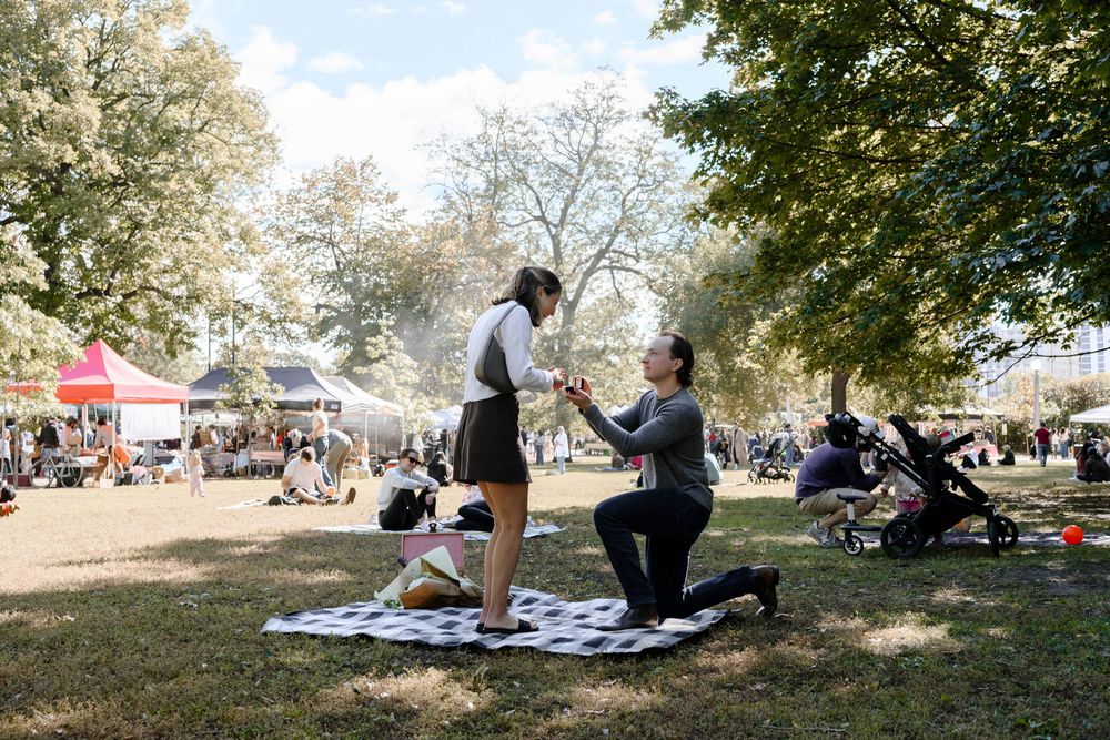 Groups of people relax on blankets under shady trees in a park on a sunny afternoon.