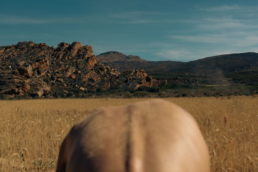 Scenic panoramic view of desert landscape with mountains and golden grass fields stretching into the horizon.