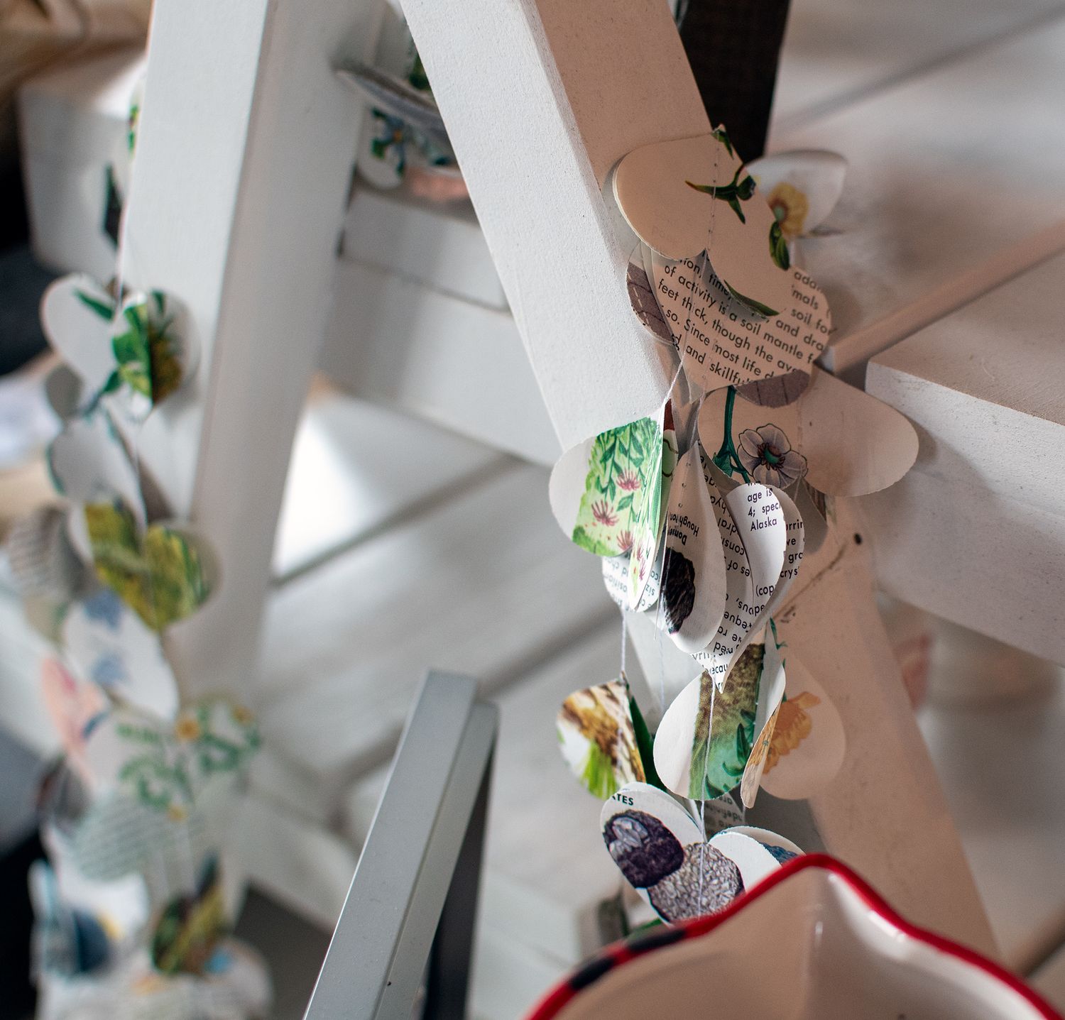 Magazine covers and floral arrangements featuring pink and white flowers with green foliage on display.