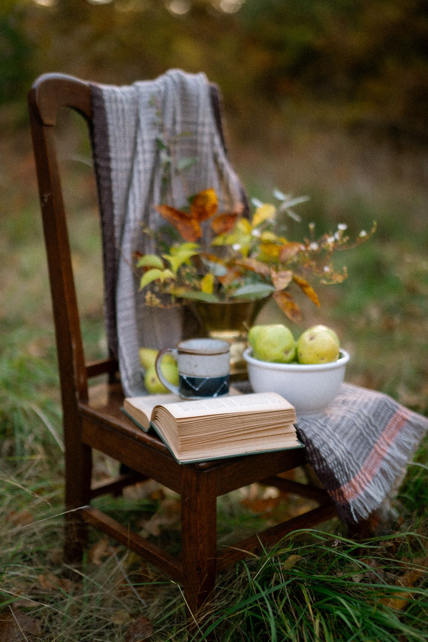 A rustic wooden chair in autumn grass holds a cozy blanket, book, and bowl of fresh pears in soft natural light.