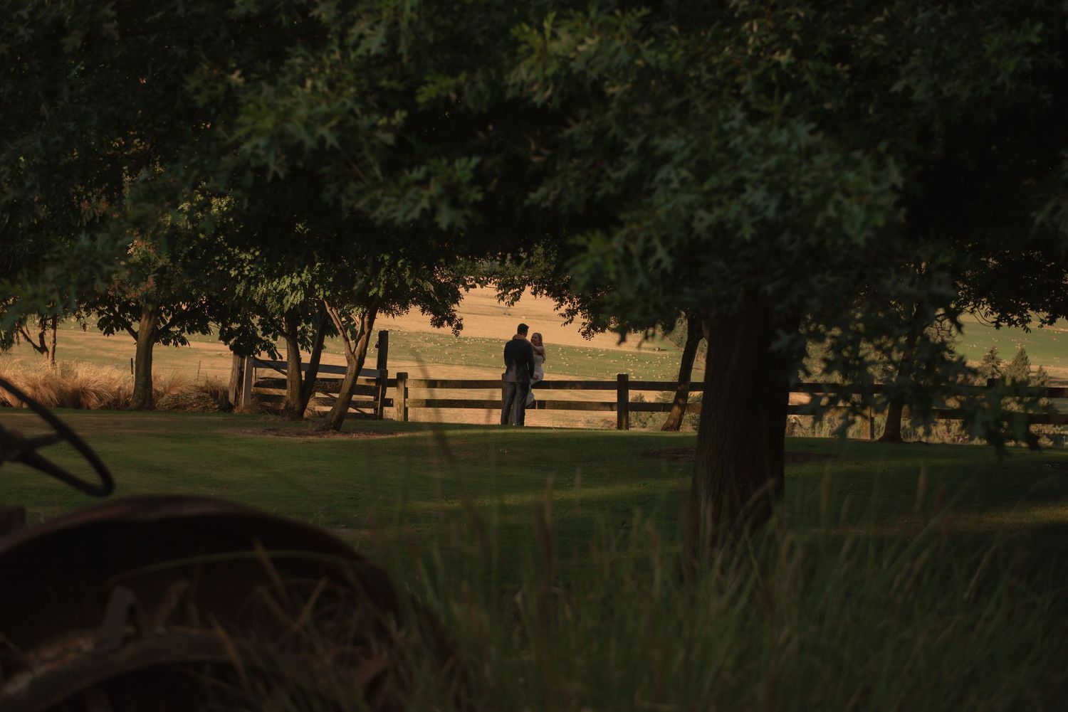 Scenic panoramic view of a park at sunset with trees casting long shadows across an open grassy field.