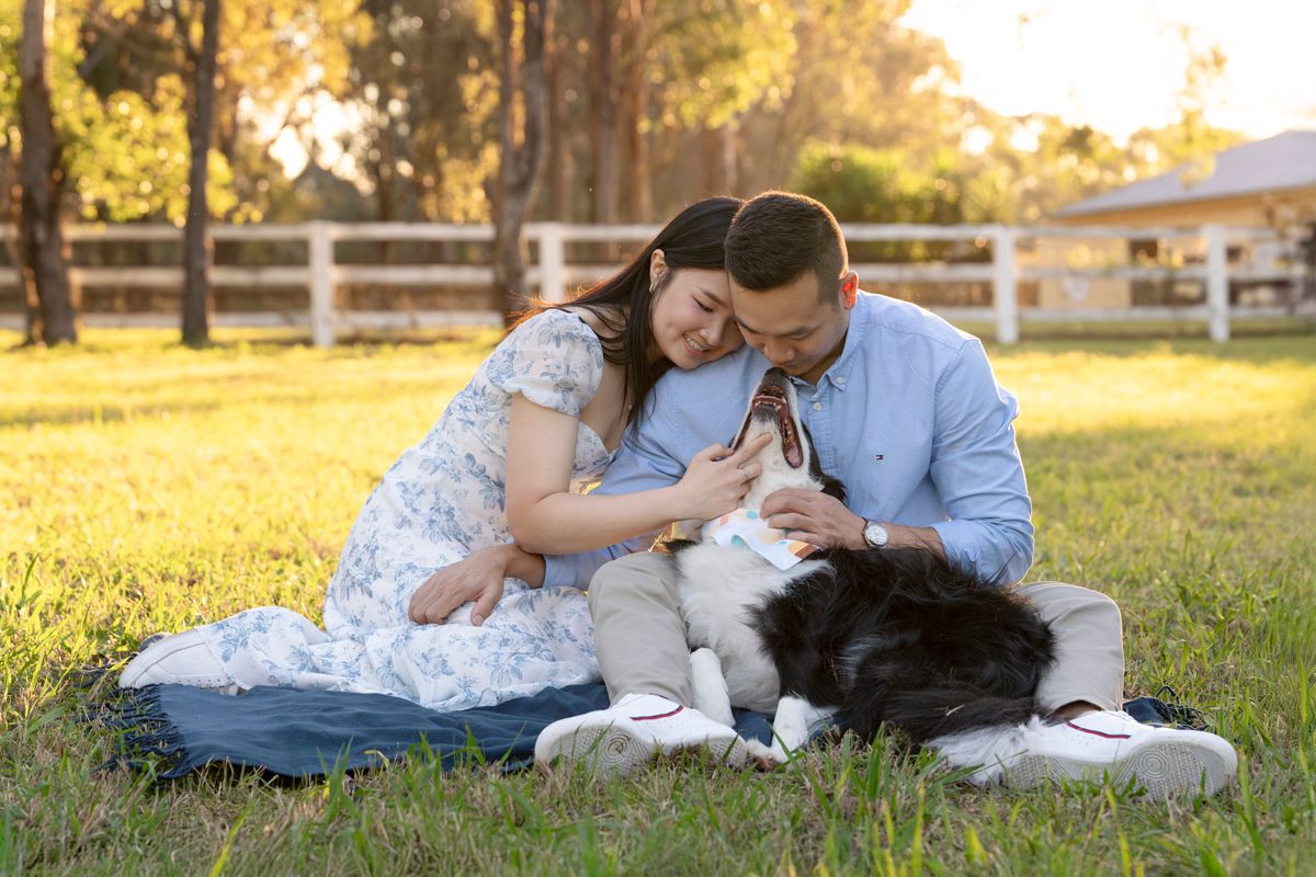 couple cuddling up with their border collie during a photoshoot in Western Sydney in a golden hour light