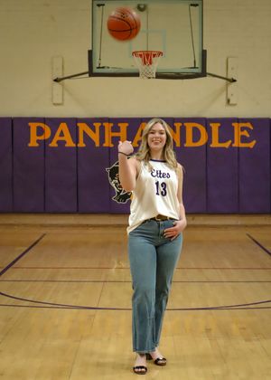 Basketball hoop and backboard mounted on wall above purple Panhandle text in a school gymnasium.