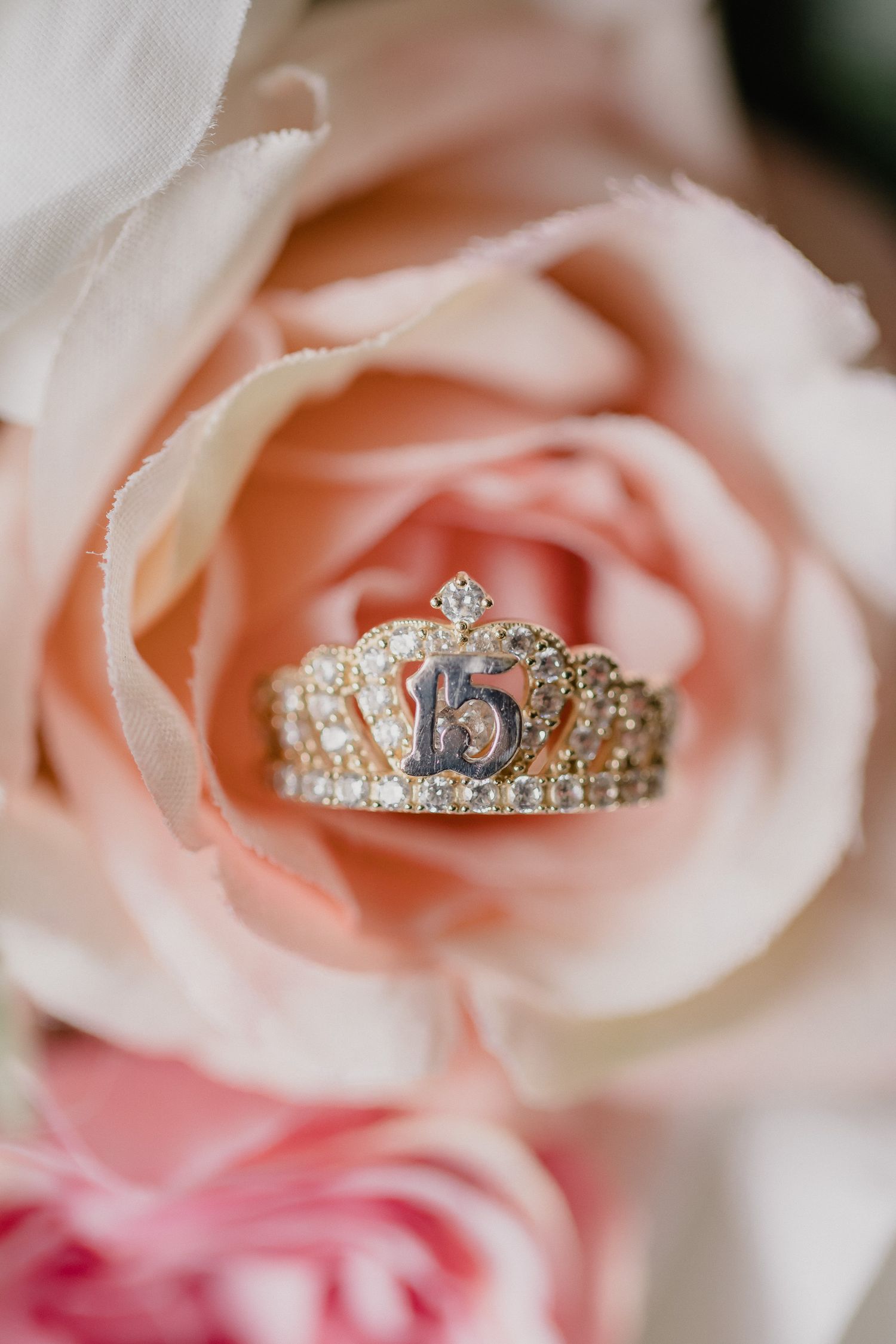 Ornate gold quinceanera crown ring nestled in the center of a blush pink rose.