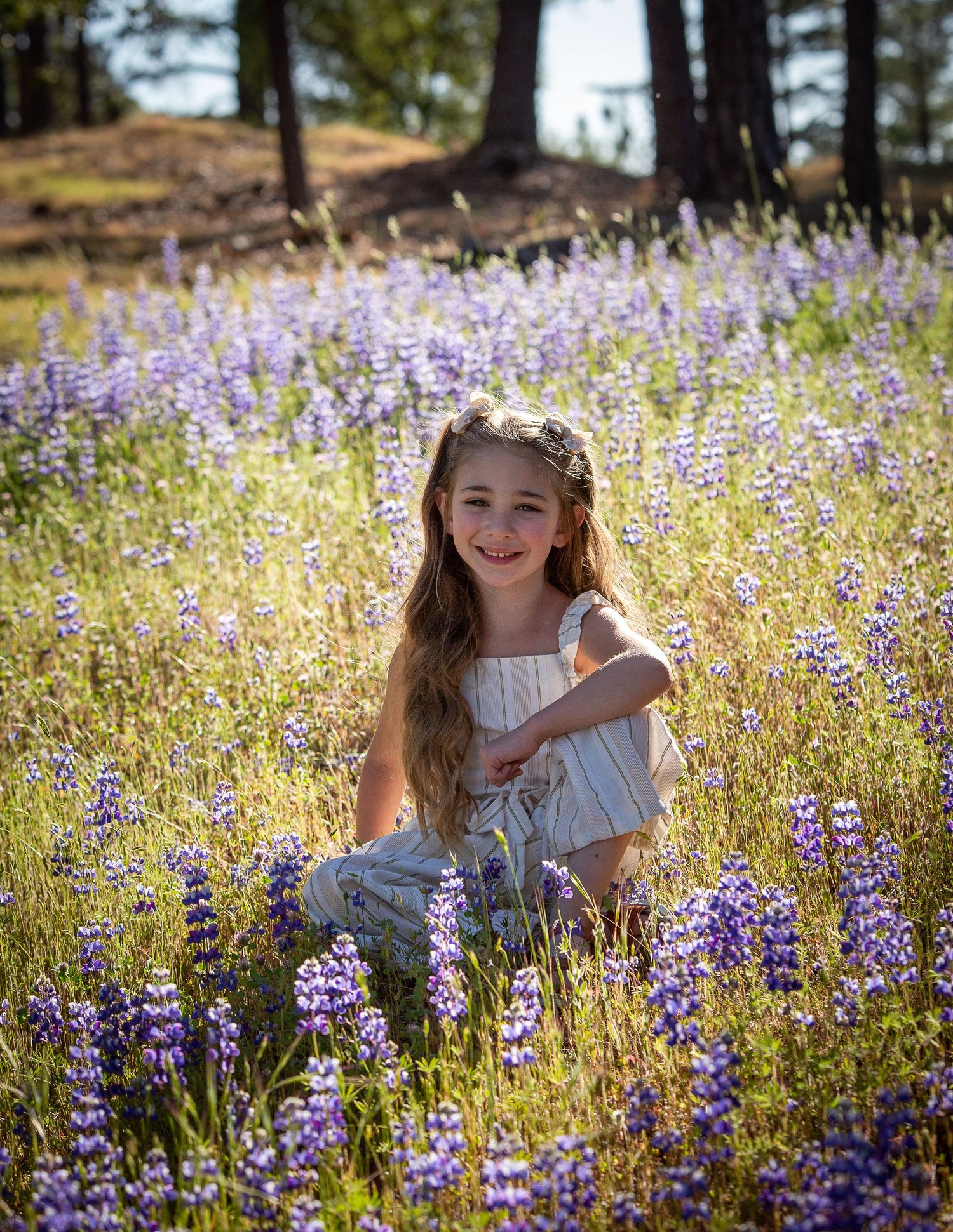 Amador County Photographer, Lake Tabeaud, Pine Grove CA, country photos, lupins