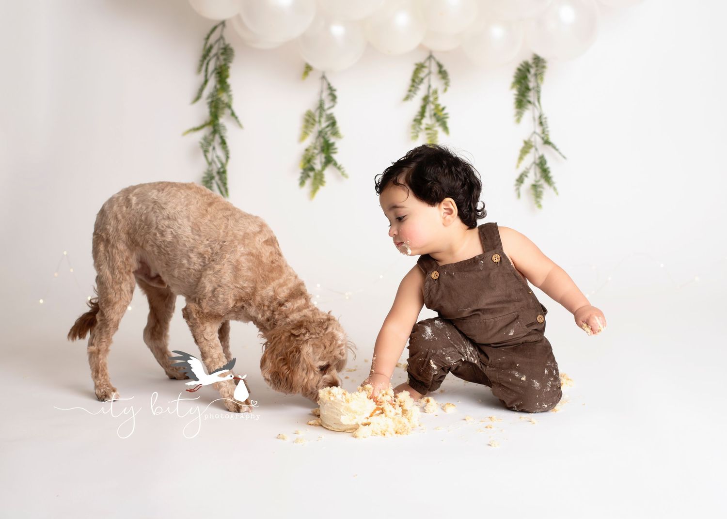 Akron One Year Cake Smash Photographer Near Me Puppy and child pictures