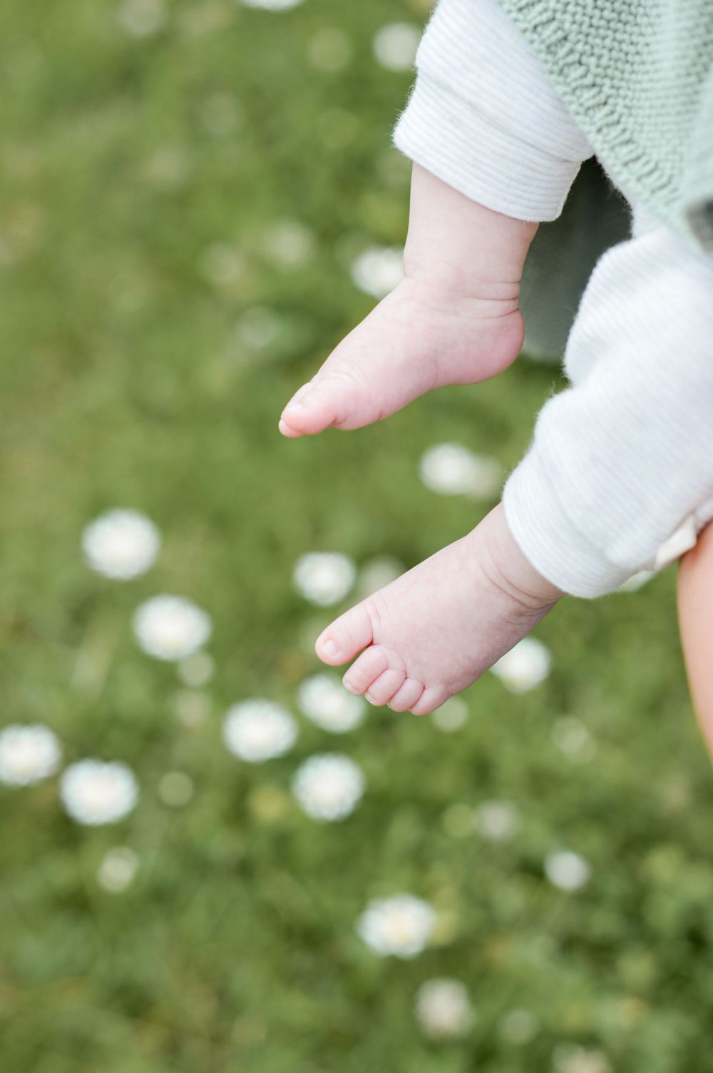 Winzige nackte Babyfüße baumeln über einen grünen Rasen, der mit weißen Gänseblümchen übersät ist.