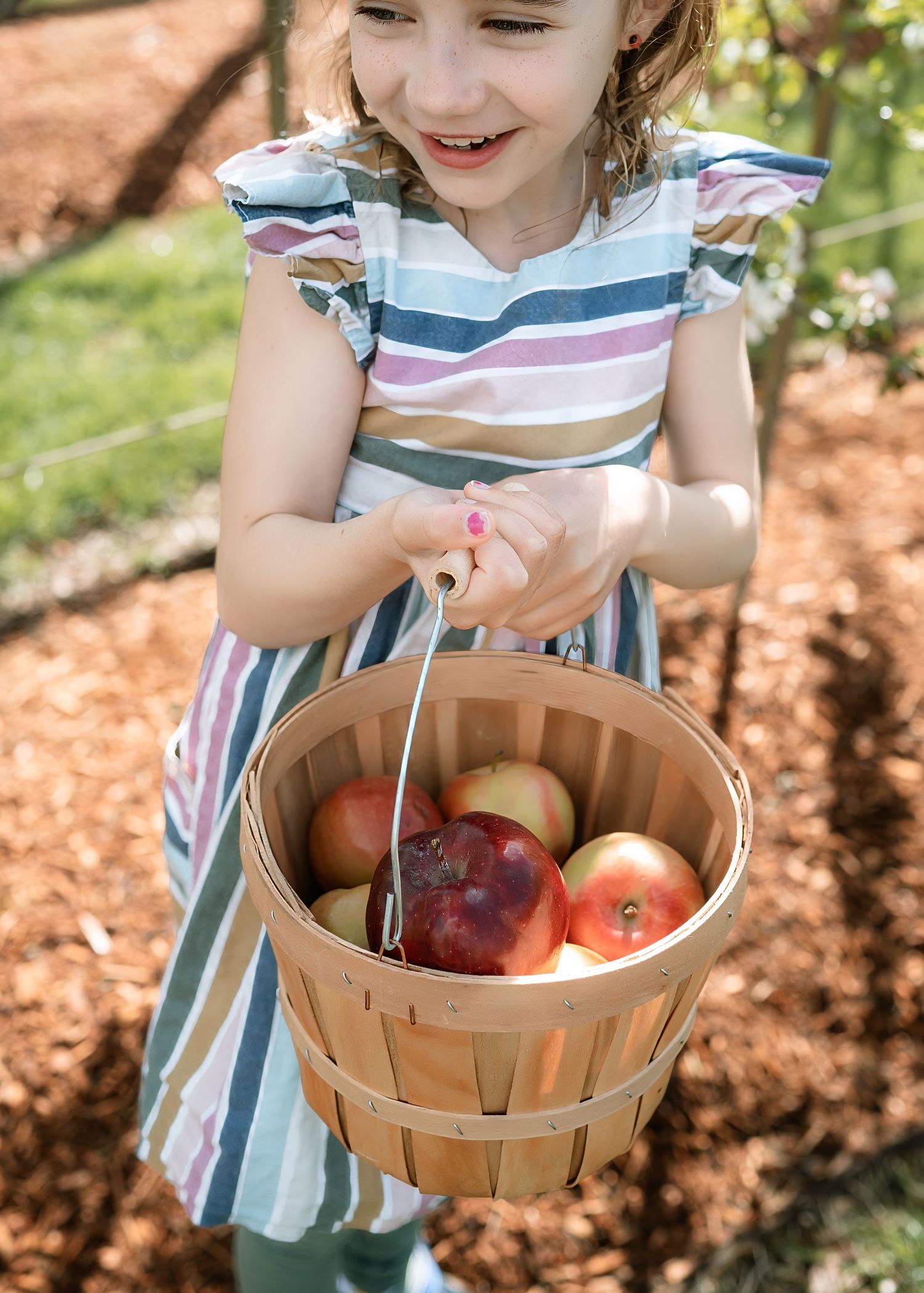 Young child in striped dress holds woven basket filled with fresh red apples in sunny garden setting.