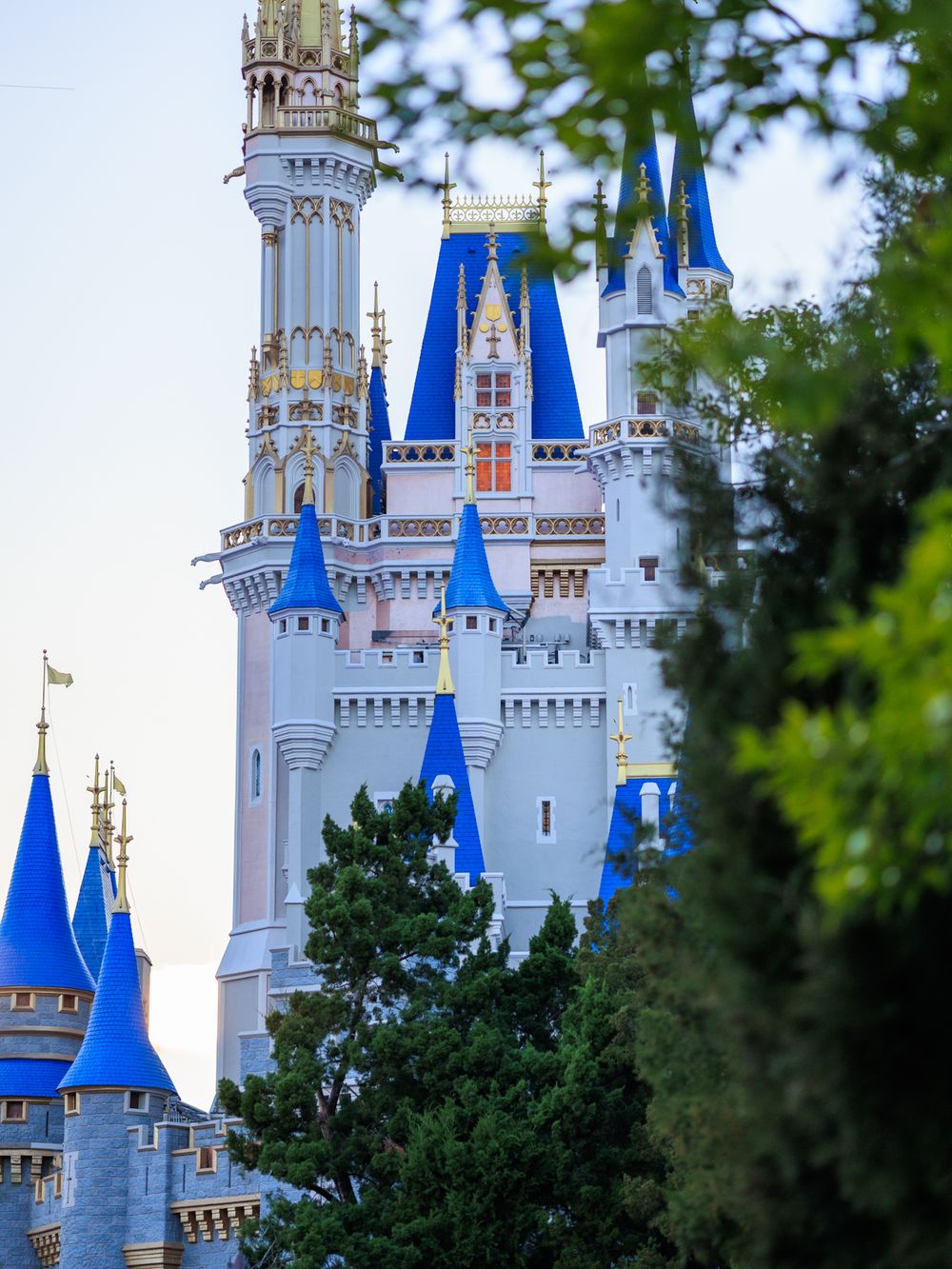 Cinderella Castle at Walt Disney World Magic Kingdom with blue and white spires rising above green trees.