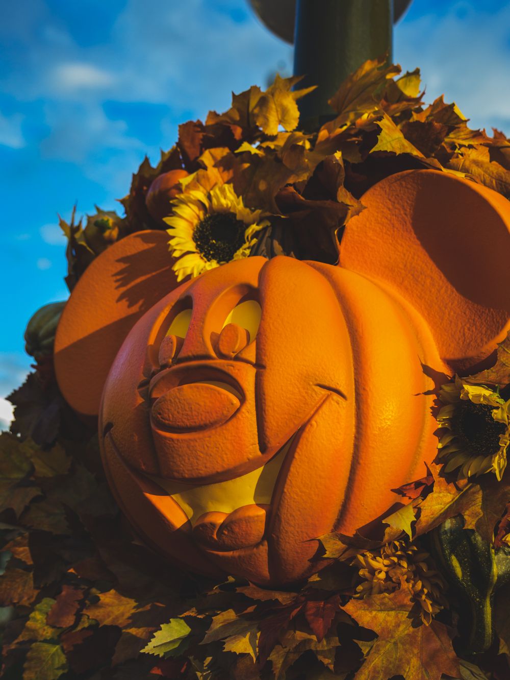 Close-up of Mickey Mouse-shaped pumpkin decorations with autumn leaves.