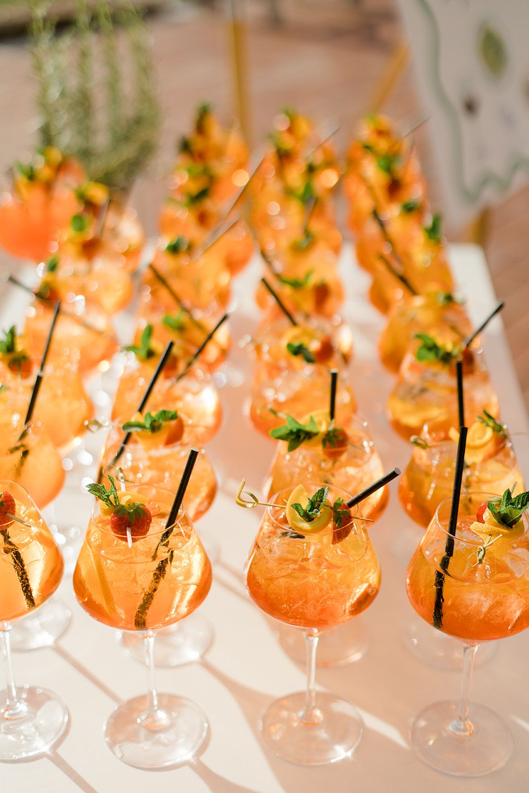 Rows of elegant cocktail glasses filled with orange-colored drinks garnished with fresh herbs and black stirrers.
