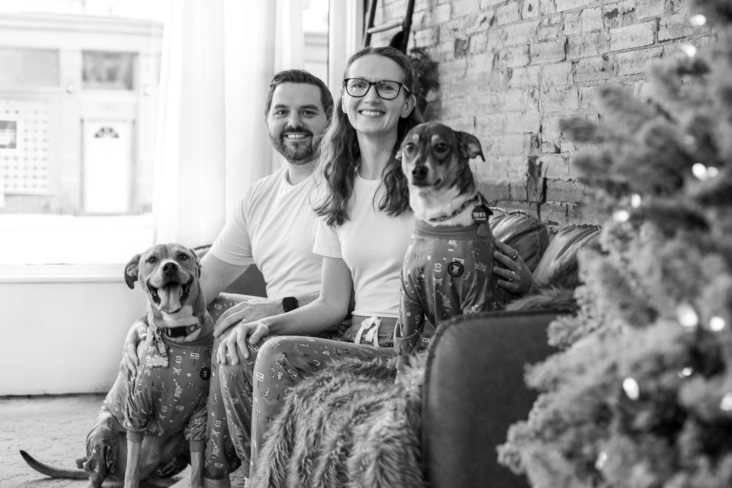 Cincinnati family Christmas photos featuring adults and two dogs capturing cozy pet-friendly holiday lifestyle photography in Cincinnati