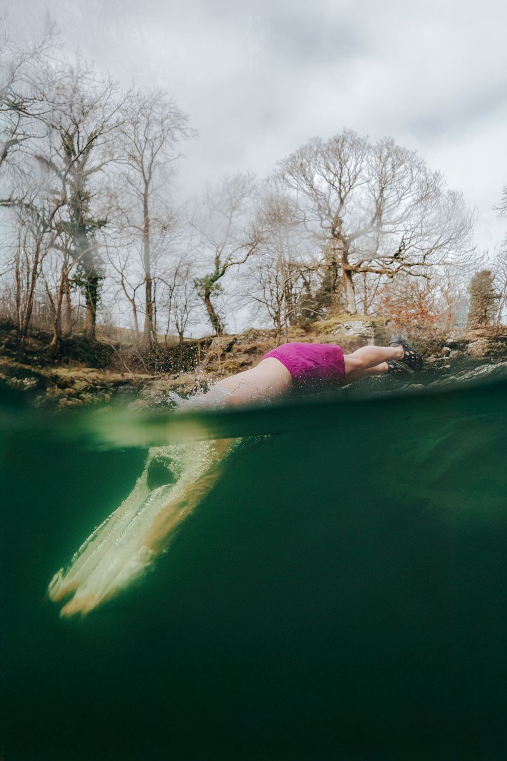 Split view photograph shows a person diving into dark green water surrounded by bare winter trees along the shoreline.