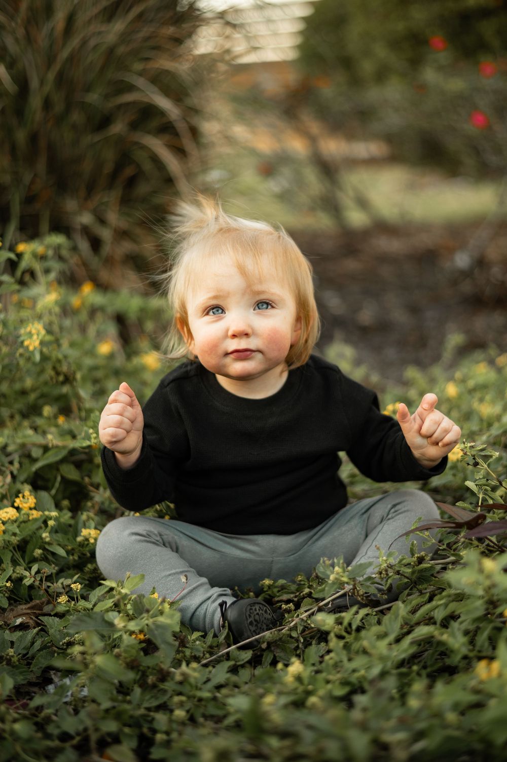 Small child sits among wildflowers in a garden wearing a black sweater and gray pants.