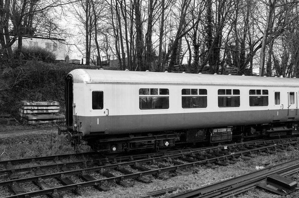 Black and white photographs showing a series of vintage railway cars and train carriages on tracks in a wooded area.
