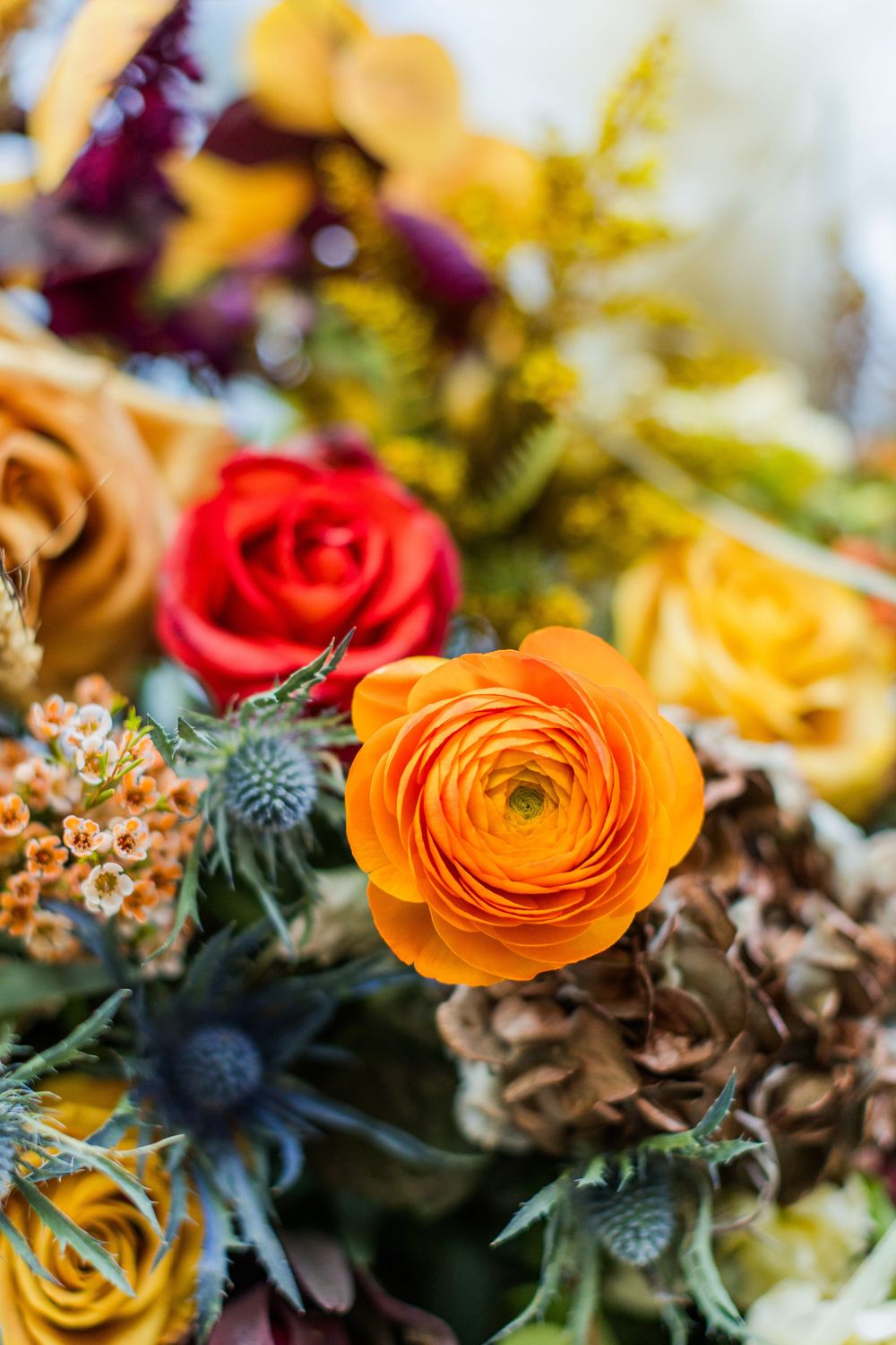Avonlea Farms Wedding Richmond Virginia