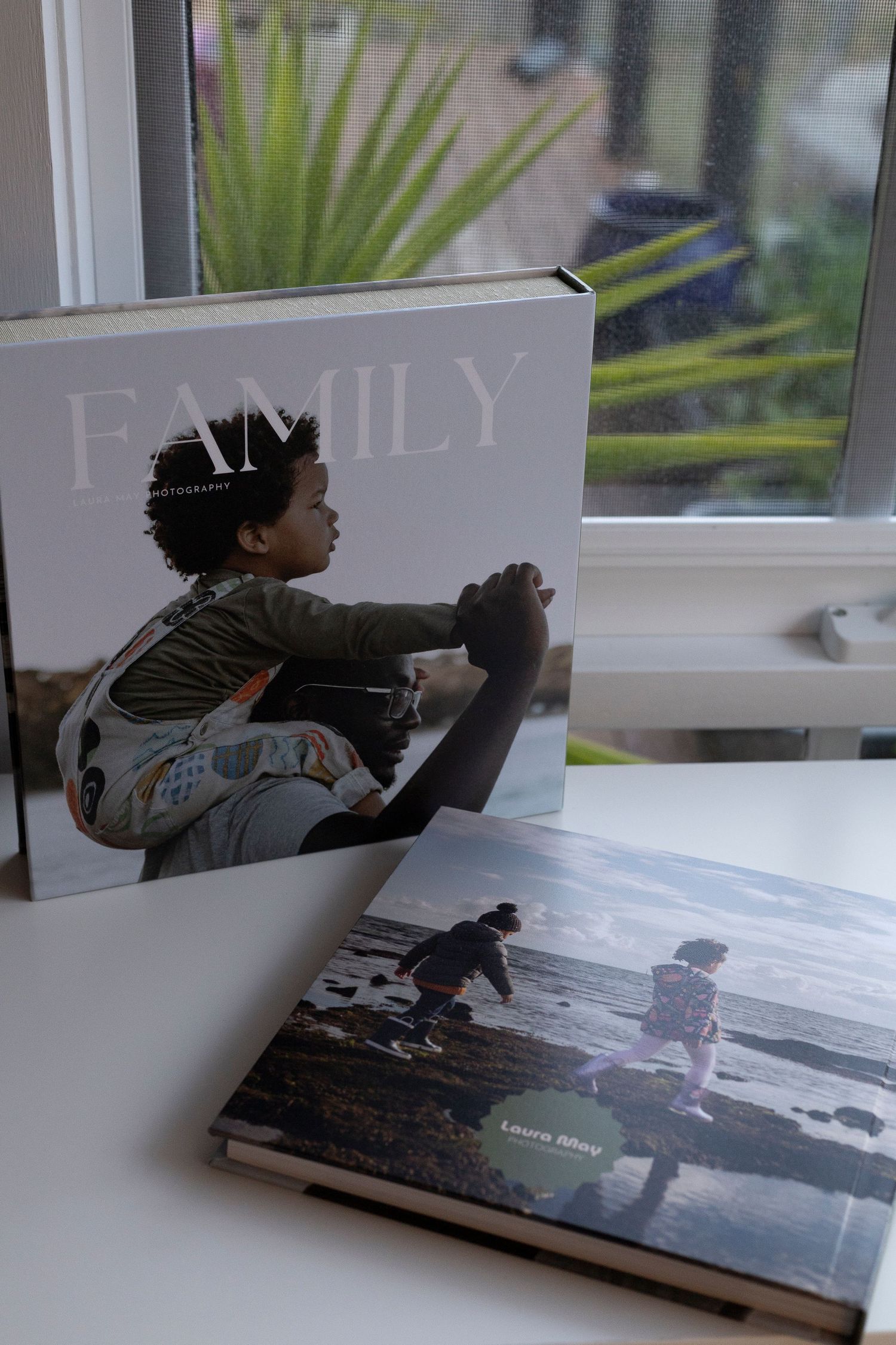 Two photo books displayed on white surface near window with palm plant visible in background.