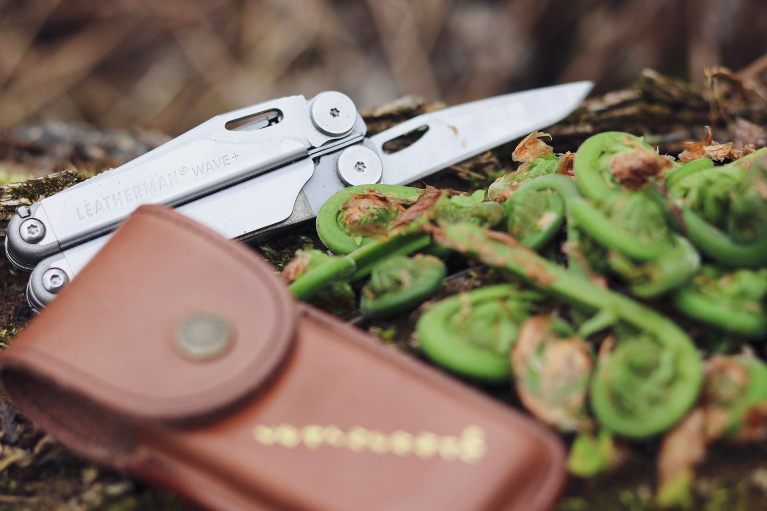 Silver multi-tool laid beside fiddlehead ferns with a brown leather case.