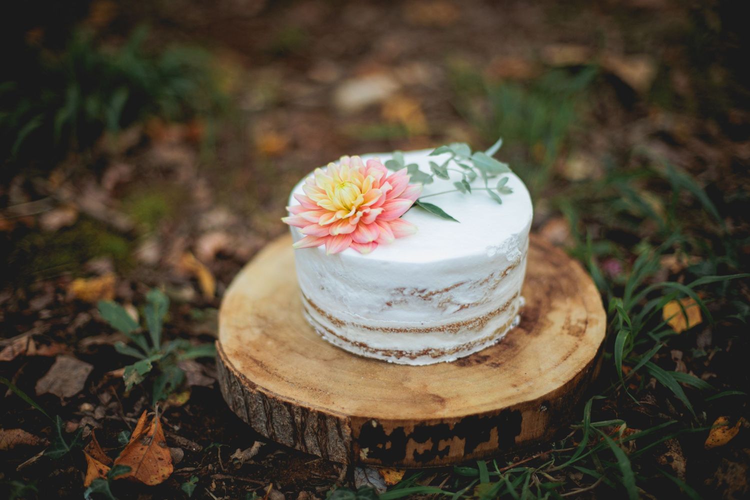 Bolo de Smash the cake em exterior na Maia. Bolo sem açúcar