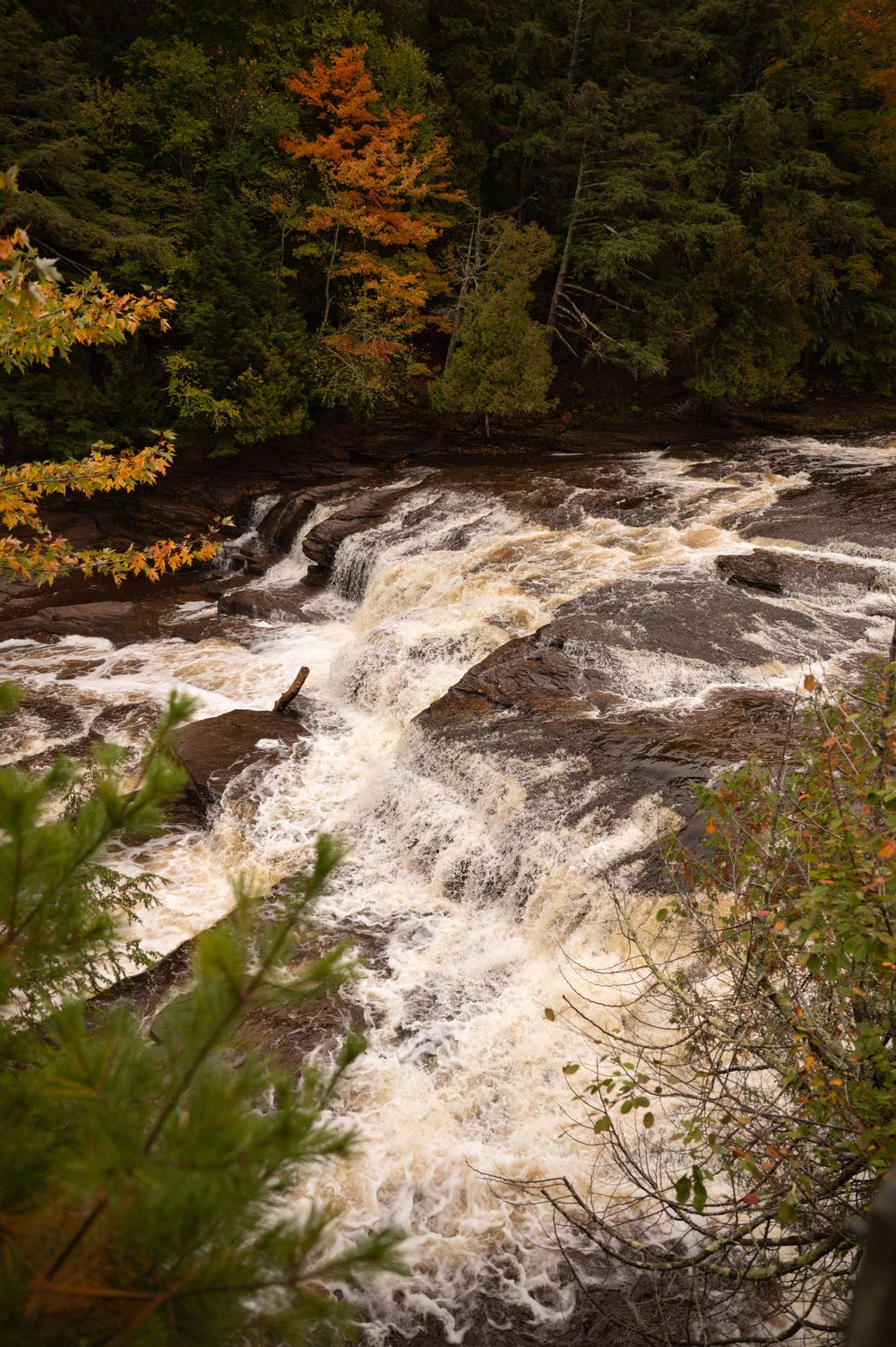 Rushing waterfall cascades over rocks surrounded by autumn foliage in a forest setting during fall season.