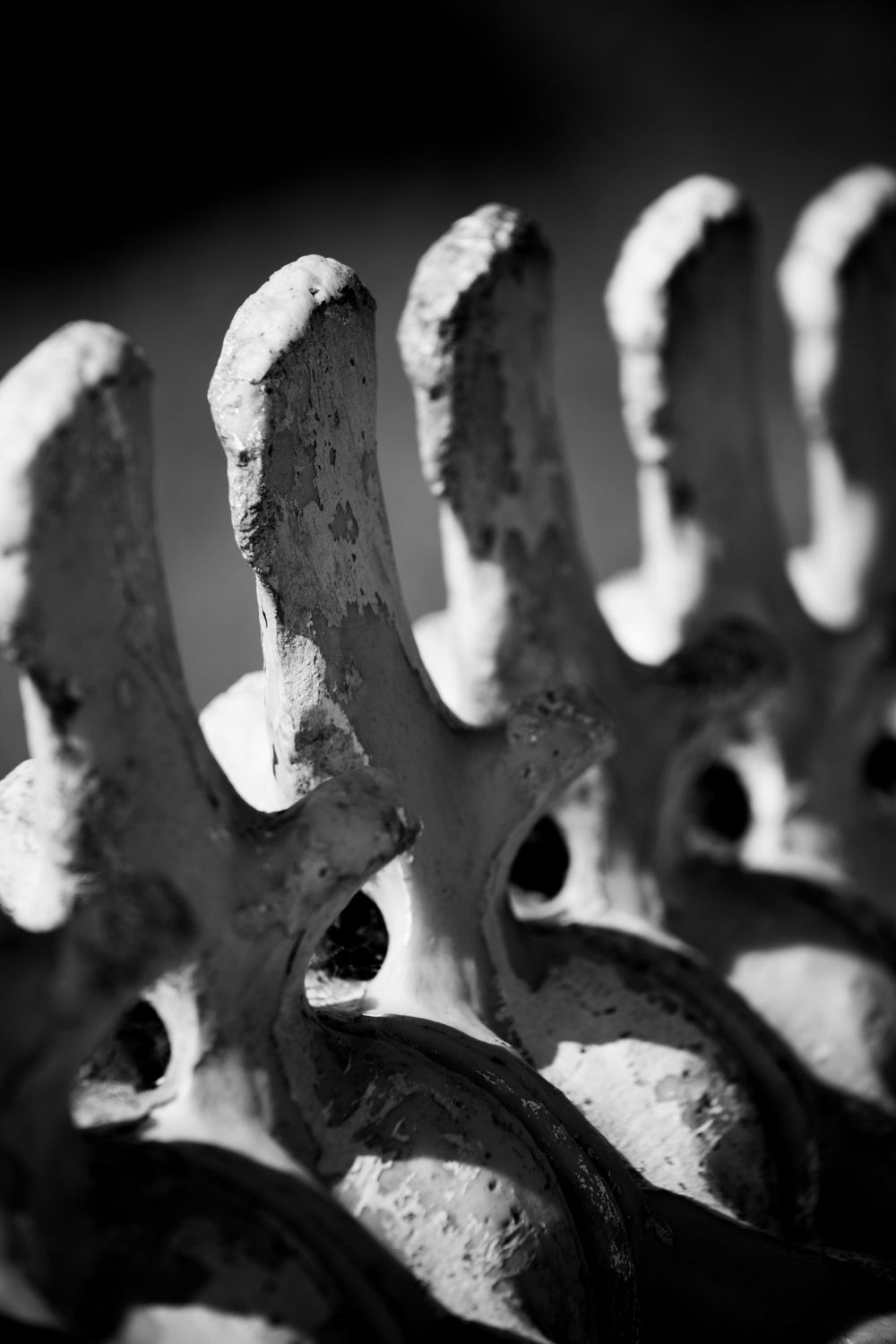Abstract black and white macro photograph of ornate architectural detail.