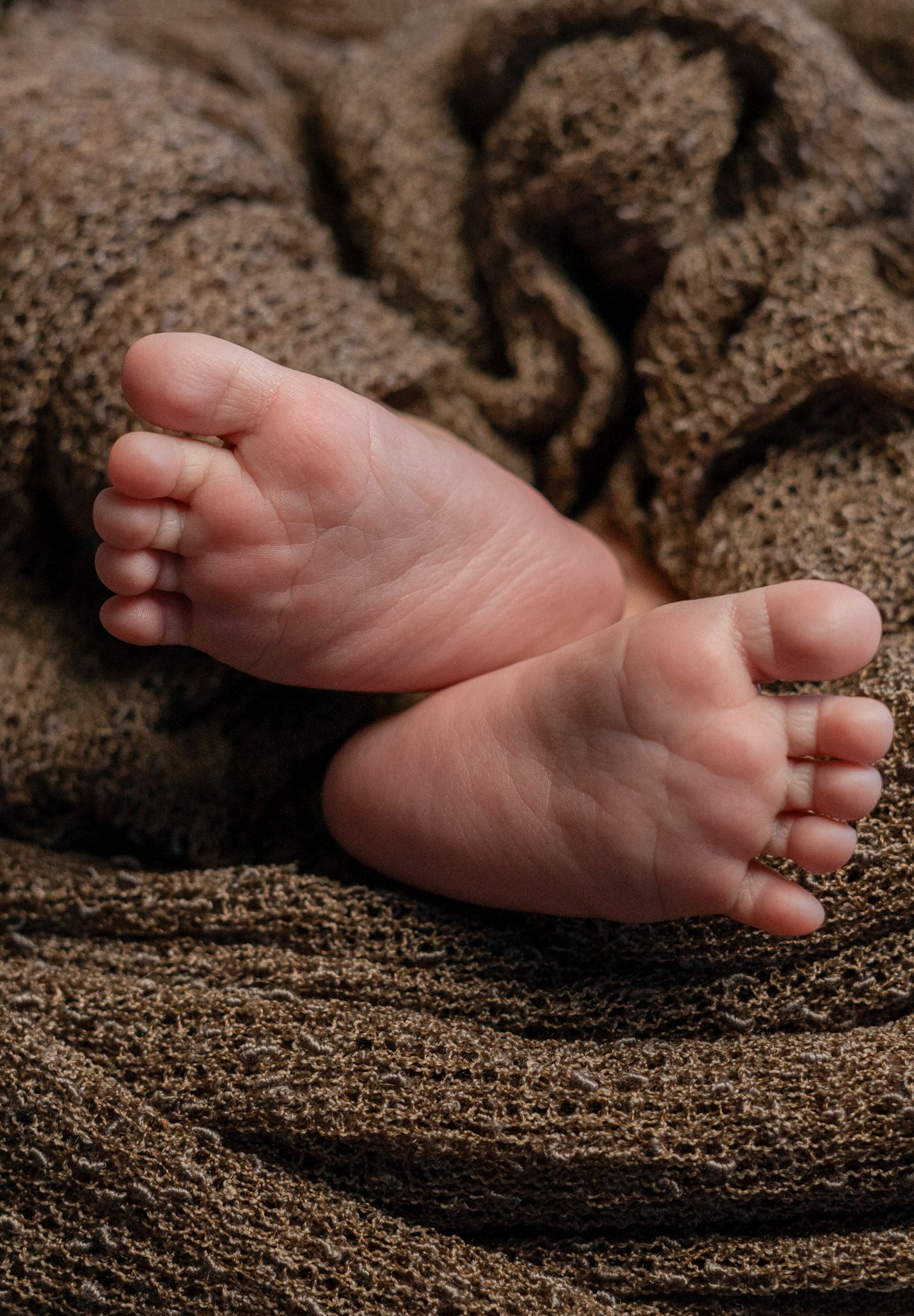 How much is Newborn photography, Northern Colorado Newborn Photography, Fort Collins Newborn Photography, Loveland Newborn Photographer