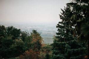 Misty panoramic landscape view of city through lush green forest trees on overcast day.