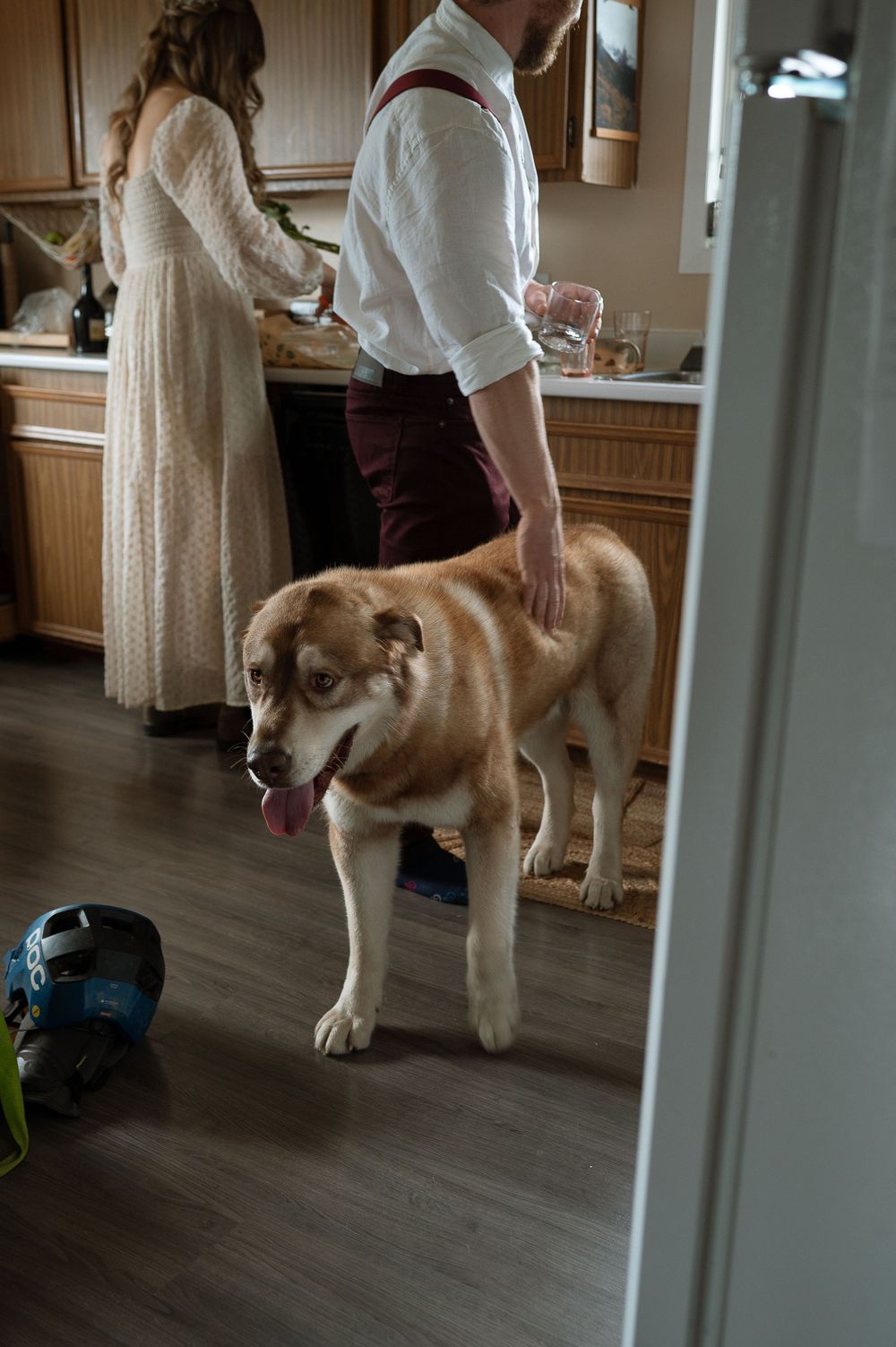 A dog stands in kitchen doorway while figures prepare something at counter.