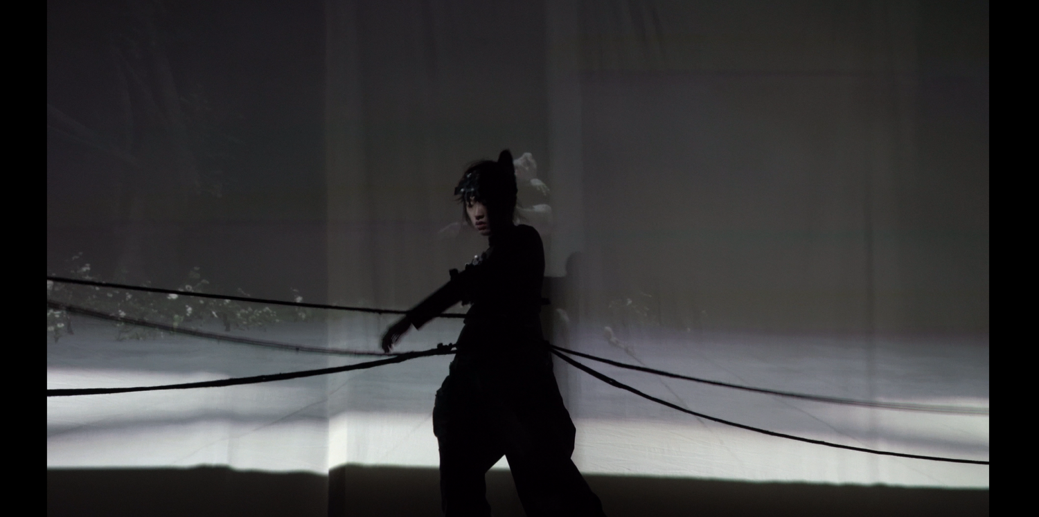 The Morph - Live Performance