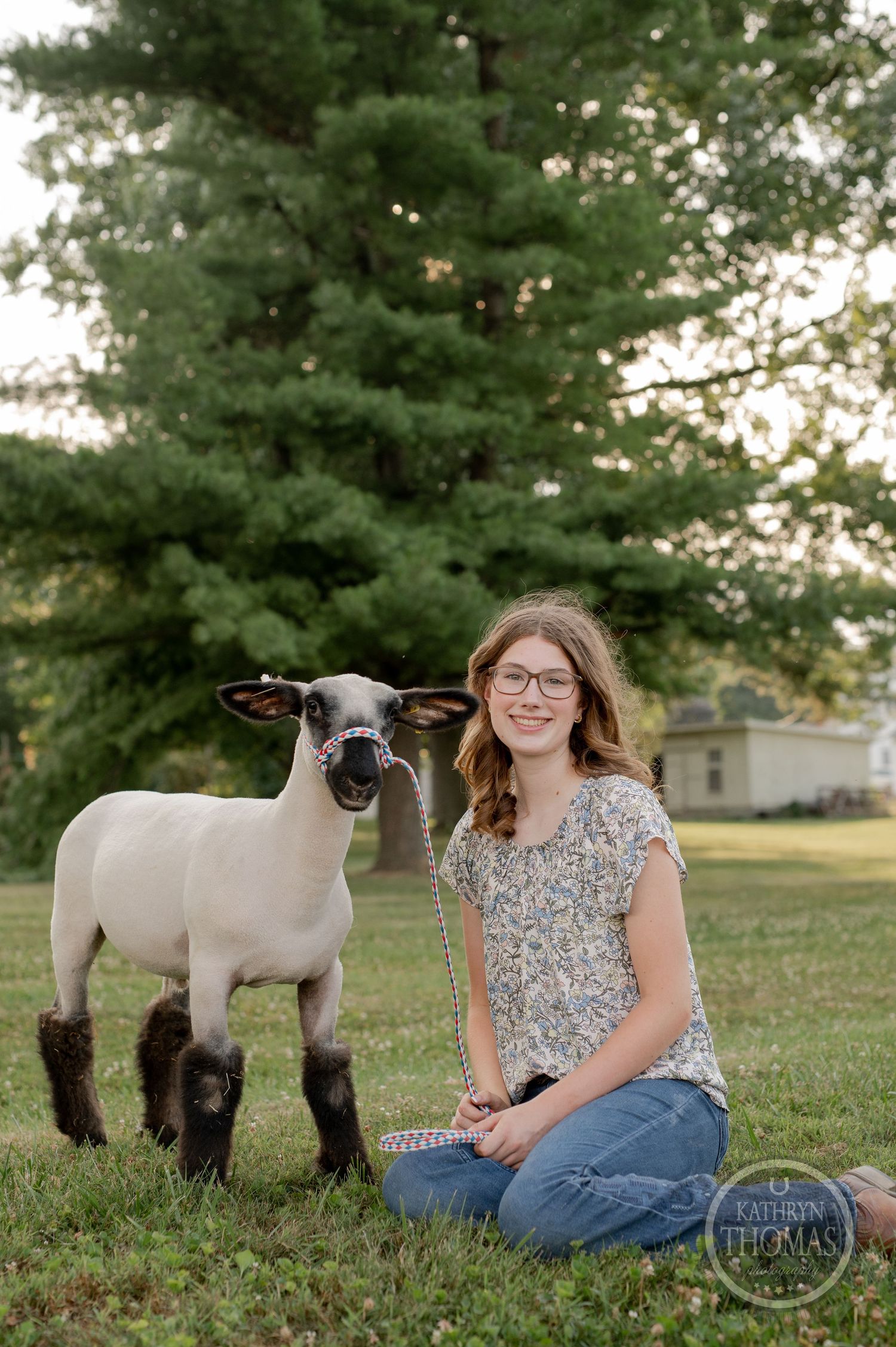 A lamb stands beside its seated handler in front of a large evergreen tree during golden hour.