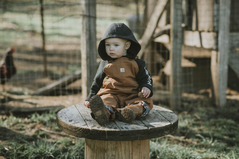 indiana pa photographer one year old, indiana county, family session harsh light, country, farm, boy, saltsburg, apollo