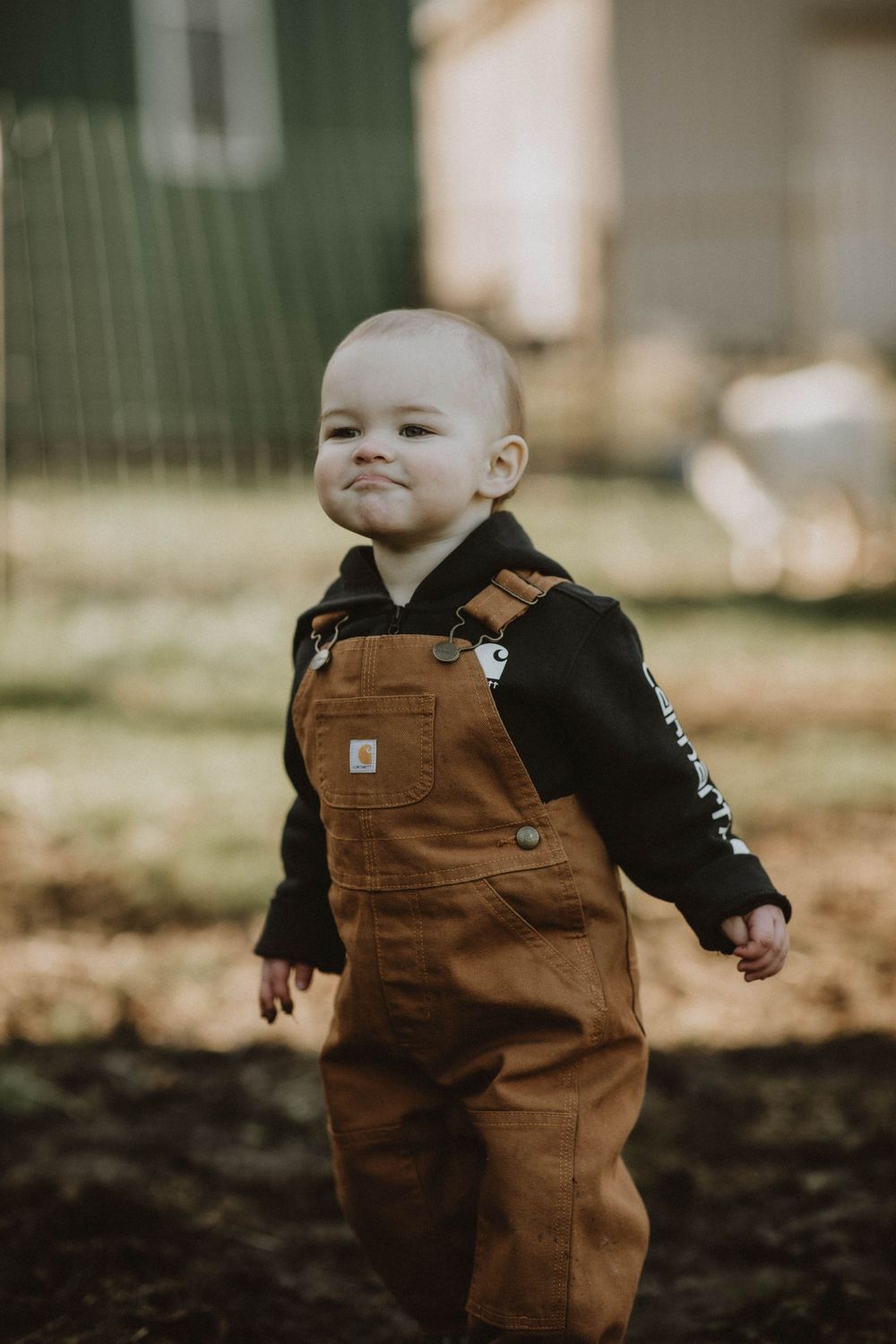 indiana pa photographer one year old, indiana county, family session harsh light, country, farm, boy, saltsburg, apollo