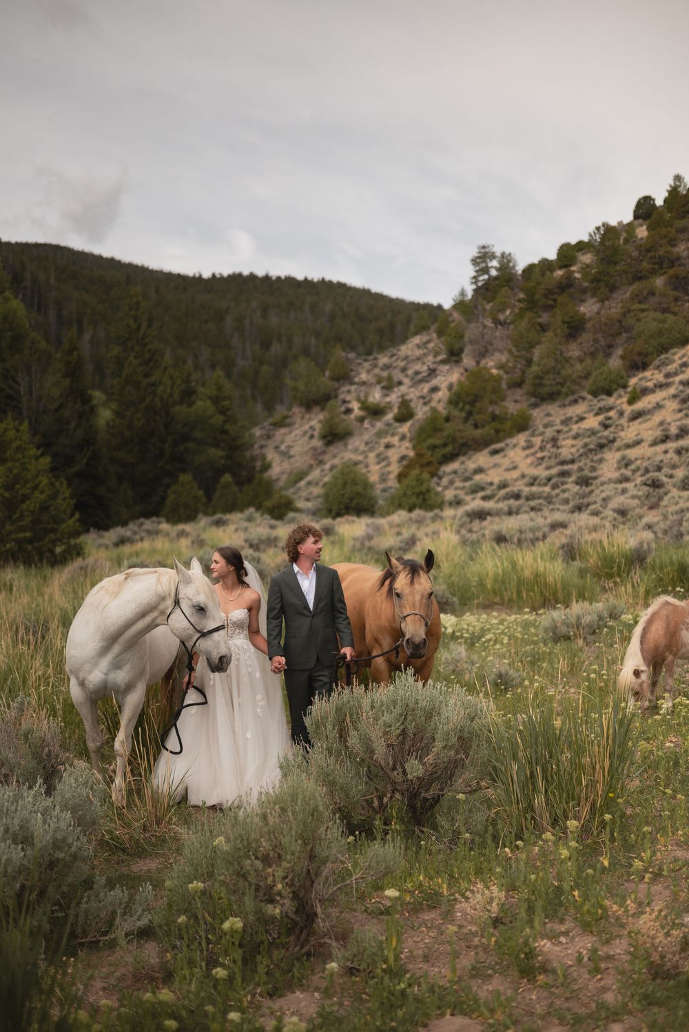 A romantic wedding photo shoot in a mountainous landscape with horses grazing among sagebrush and wildflowers.